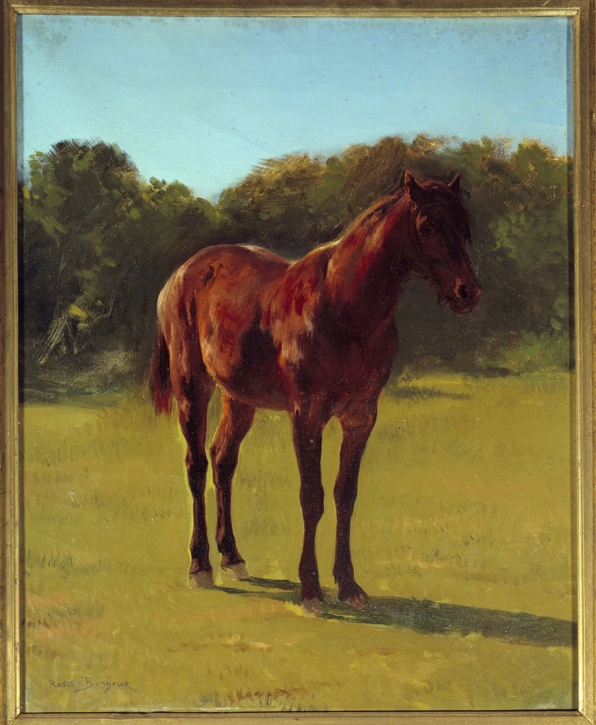 Studio di cavallo - Musee National Du Chateau De Fontainebleau